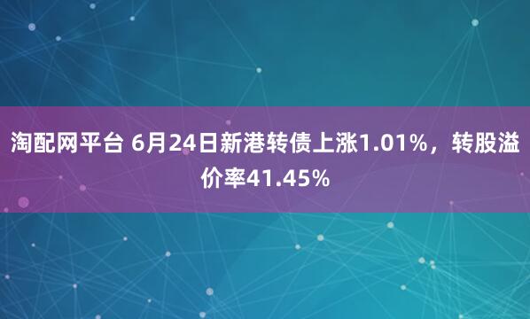 淘配网平台 6月24日新港转债上涨1.01%，转股溢价率41.45%